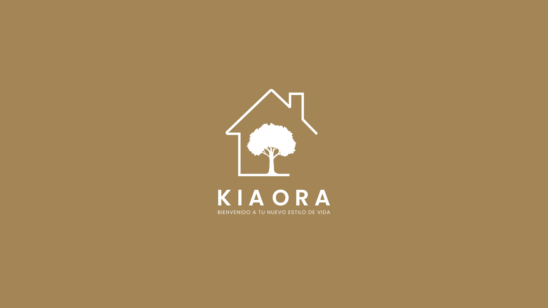 Logo 23